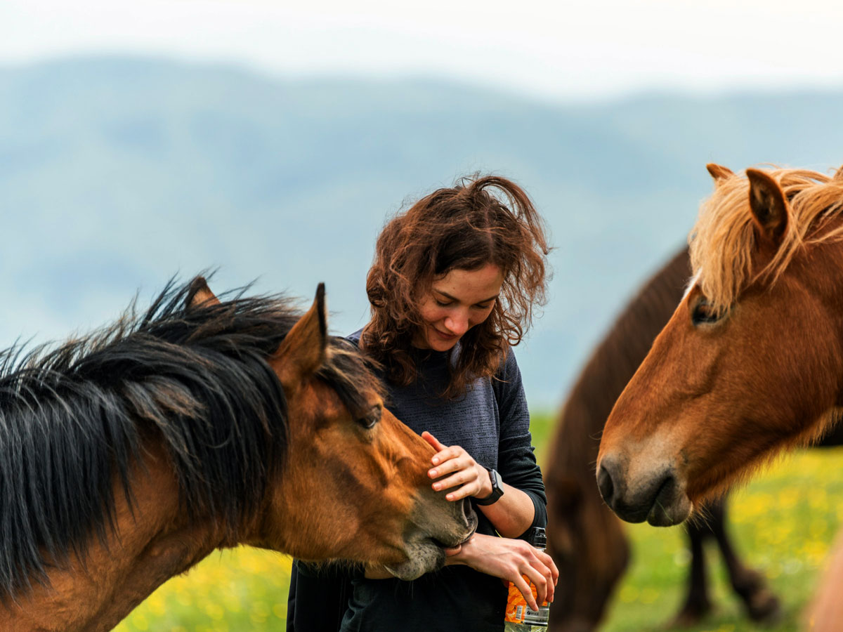 Jeune femme au milieu d'un troupeau de chevaux