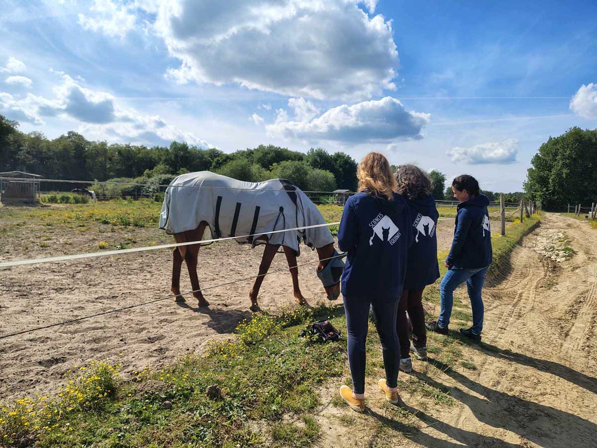 Membres du groupe Gestion des Insectes