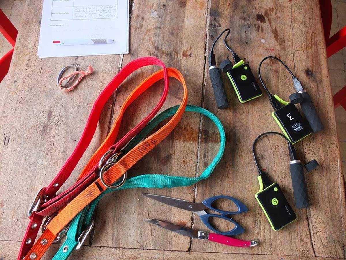 Des colliers avec de GPS pour équiper les chevaux du projet Hébergement et déplacement