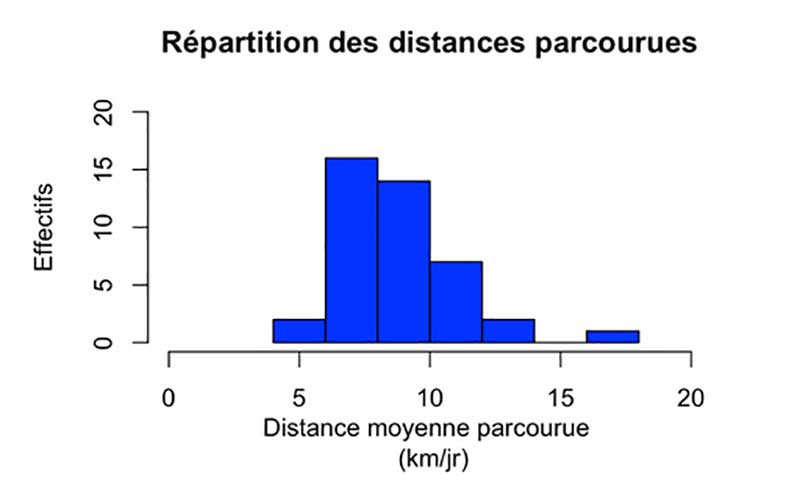 Graphique de la répartition des distances parcourues par jour par les chevaux