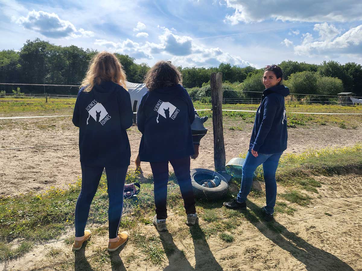 Observation du comportement d'un cheval portant un masque pour l'étude participative "Masque et chevaux"