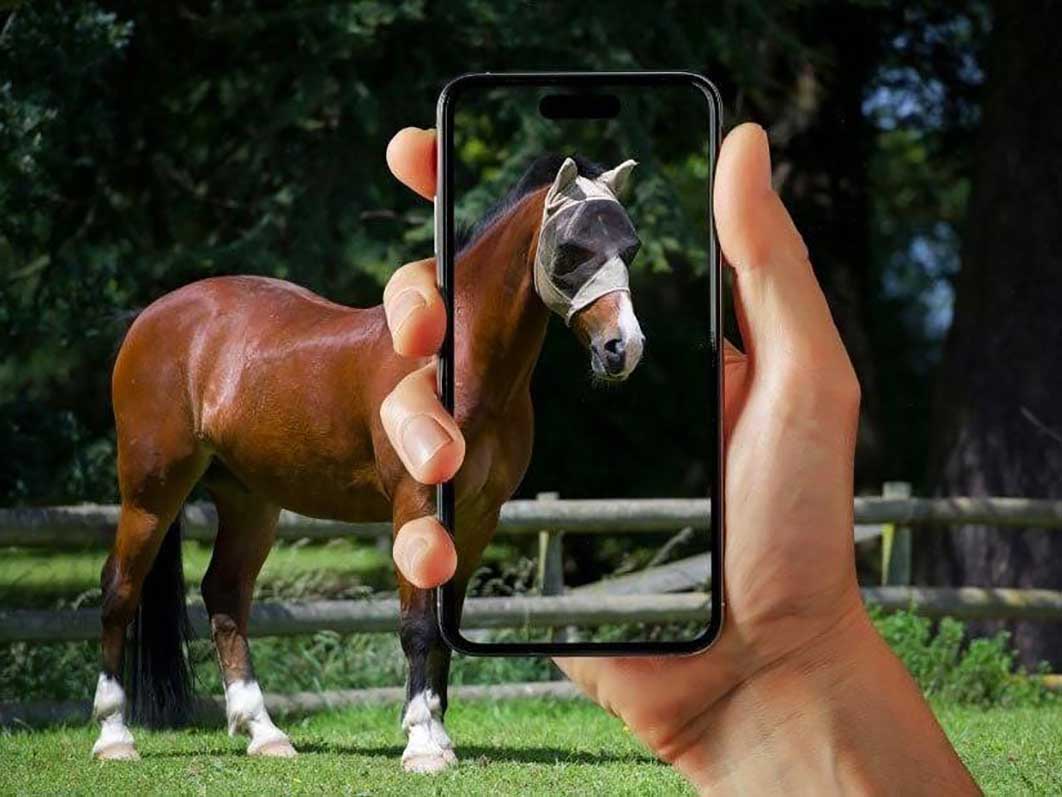 Projet de recherche participative 2025 : le projet Masques & chevaux