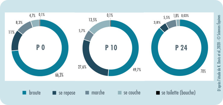 Figure 1 Répartition moyenne du temps par activité par traitement: Brouter 66,3% en P0, 49,7% en P10 et 78% en P24; au repos 11% en P0, 27,6% en P10 et 3,8% en P24; marcher 8,3% en P0, 5,7% en P10 et 5,5% en P24; se coucher 4,7% en P0, 13,5% en P10 et 1,8% en P24; se toilette avec la bouche 0,1% en P0 et P10, 0,03% en P24.