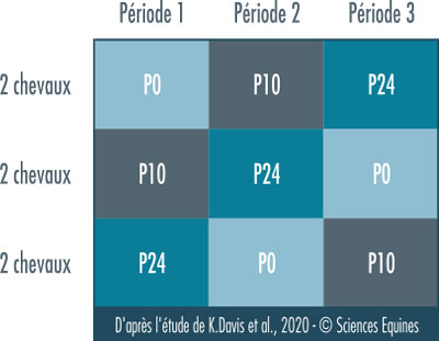 Tableau 2: dessin du carré latin montrant les trois traitements, chacun attribué à deux chevaux et répartis sur chaque période.