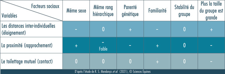 Tableau 1: Même sexe a un effet négatif sur la distance inter-individuelle (c'est à dire l'éloignement), positif sur la proximité (c'est à dire le rapprochement), aucun sur le toilettage mutuel (c'est à dire le contact); Même rang hiérarchique a aucun effet sur la distance inter-individuelle, faiblement négatif sur la proximité, aucun sur le toilettage mutuel; la parenté génétique a un effet positif sur la distance inter-individuelle, négatif sur la proximité, aucun sur le toilettage mutuel; la familiarité a un effet négatif sur la distance inter-individuelle, positif sur la proximité et sur le toilettage mutuel; la stabilité du groupe n'a aucun effet sur les trois variables; un groupe de grande taille a un effet positif sur la distance inter-individuelle, négatif sur la proximité et le toilettage mutuel.