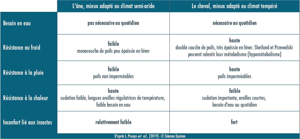 Les ânes sont mieux adaptés au climat semi-aride et les chevaux mieux adpatés au climat tempéré. Besoin en eau: ânes plusieurs jours sans eau; chevaux besoin quotidien. Résistance au froid: ânes faible (monocouche de poils peu épaisse en hiver); chevaux haute (double couche de poils très épaisse en hiver). Résistance à la pluie: ânes faible (poils non imperméables); chevaux haute (poils imperméables). Résistance à la chaleur: ânes haute (sudation faible, longues oreilles régulatrices de température, faible besoin en eau); chevaux faible (sudation importante, oreilles courtes, besoin en eau quotidien). Inconfort lié aux insectes: ânes relativement faible; chevaux fort